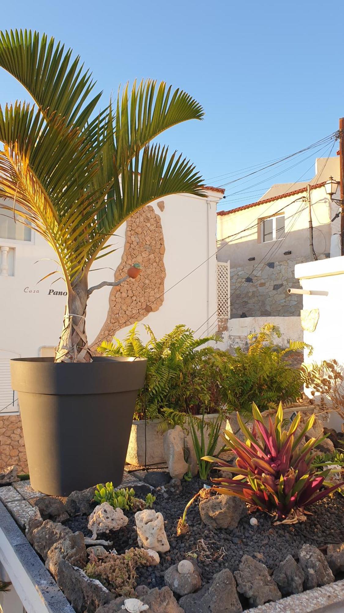 El Atico Bonito Apartment Las Playas Екстериор снимка